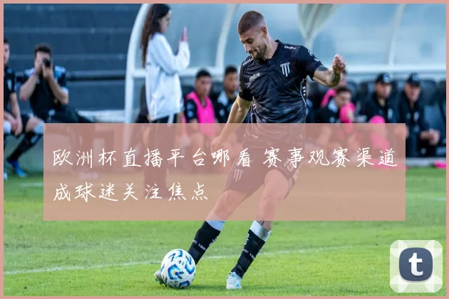 欧洲杯直播平台哪看 赛事观赛渠道成球迷关注焦点
