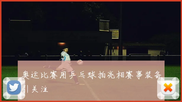 奥运比赛用乒乓球拍亮相赛事装备引关注