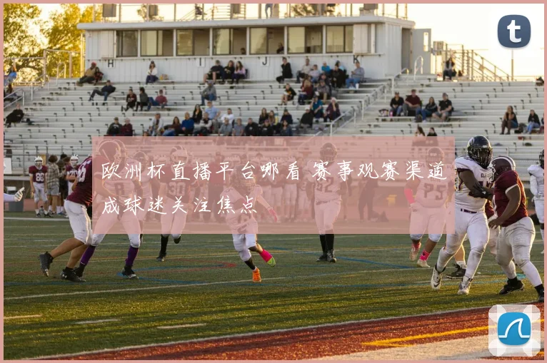 欧洲杯直播平台哪看 赛事观赛渠道成球迷关注焦点