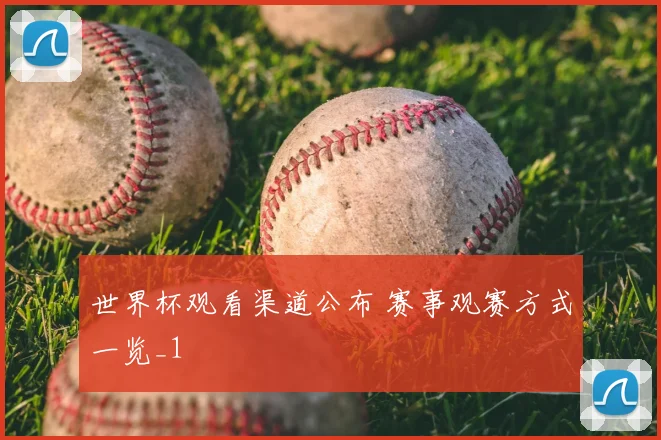 世界杯观看渠道公布 赛事观赛方式一览_1