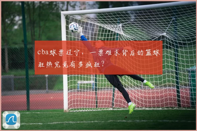 cba球票辽宁，一票难求背后的篮球狂热究竟有多疯狂？