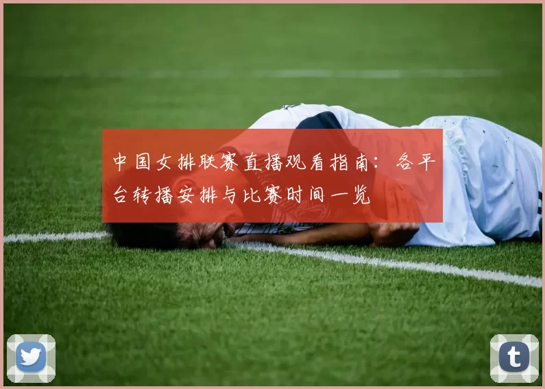 中国女排联赛直播观看指南:各平台转播安排与比赛时间一览